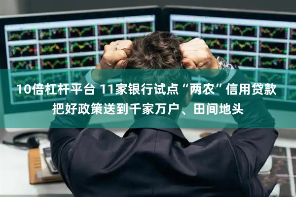 10倍杠杆平台 11家银行试点“两农”信用贷款 把好政策送到千家万户、田间地头